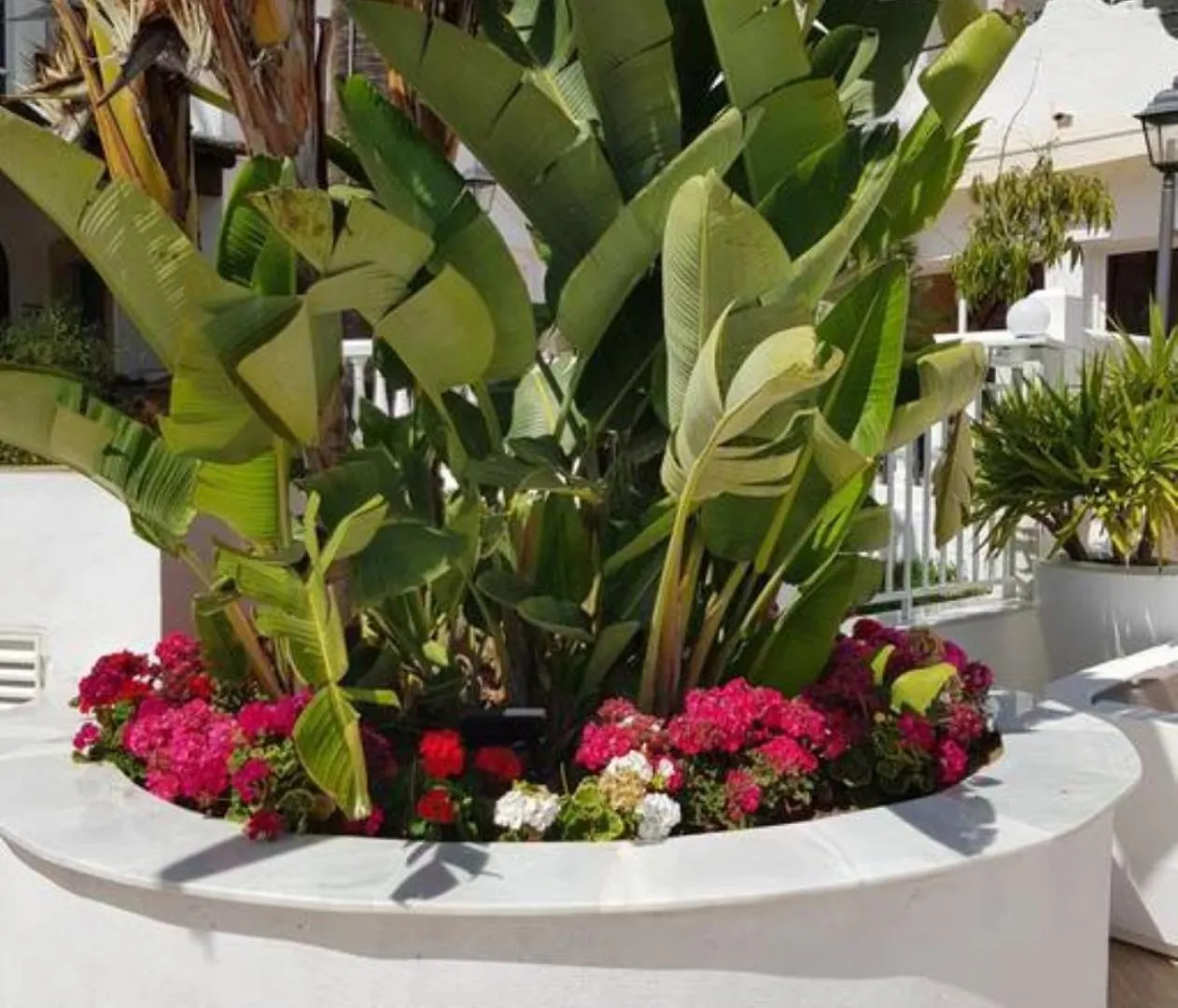 Casa Kava In A Superior Aparthotel Resort Near Cabopino No Car Needed Marbella Apartament